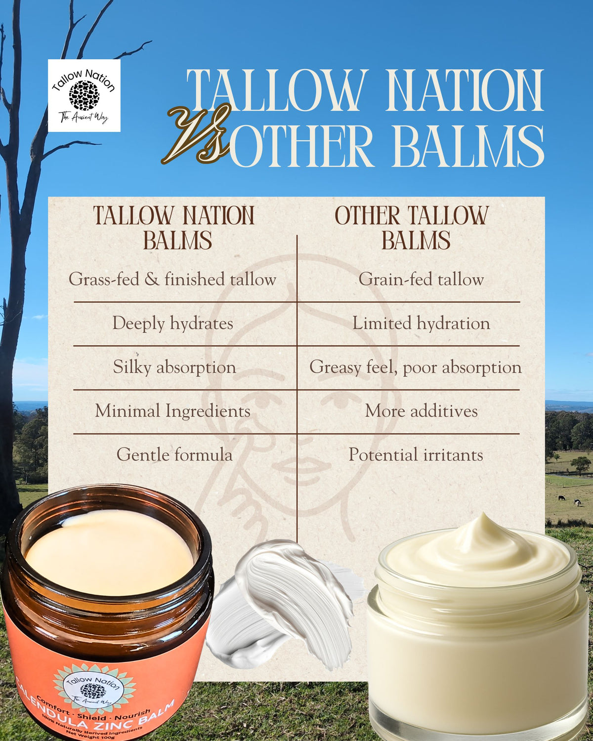 Infographic about how Tallow Nation Balms compare to other tallow balms, with the Calendula zinc balm on the bottom left corner and other balm on the right on a background of grazing cows and blue sky.