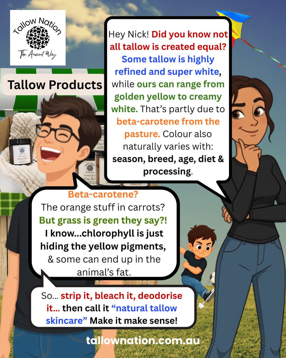 A promotional infographic for Tallow Products featuring cartoon-style characters in a grassy outdoor setting with text bubbles explaining tallow color and properties. The Tallow Nation logo is visible in the top left, and the website tailwonnation.