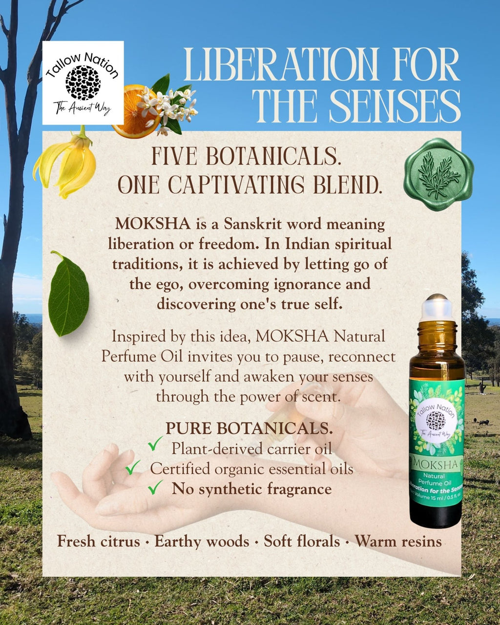 Infographic about Tallow Nation's Natural Perfume Oil, contains a description about the meaning behind the word Moksha.
