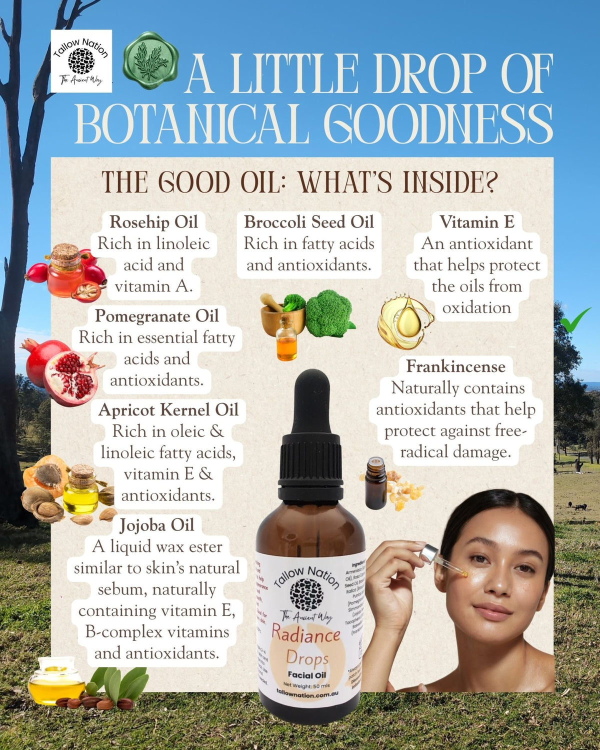 Radiance Drops Facial Oil Australia | For Dry & Mature Skin - Tallow Nation
