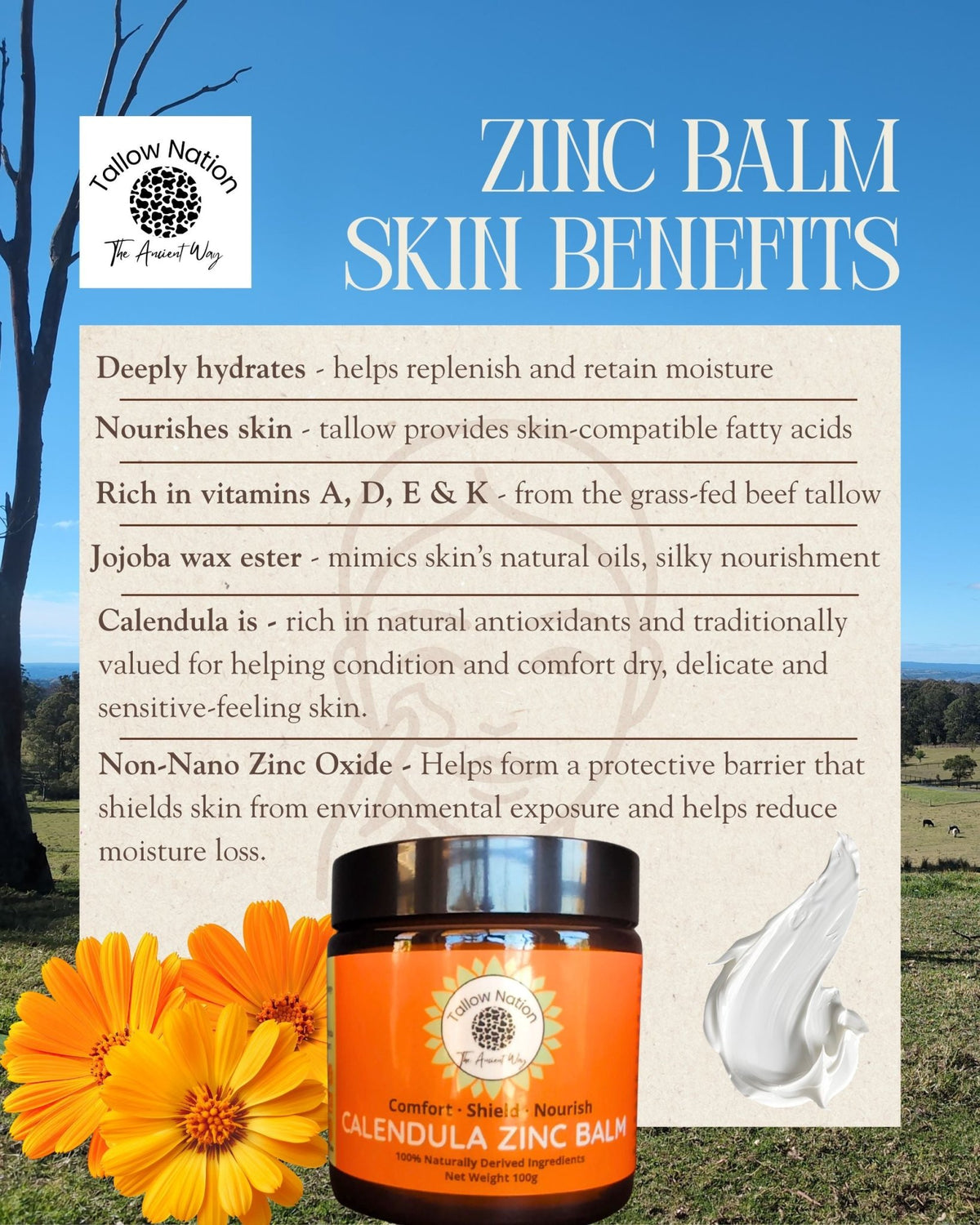 Tallow Balm Australia | Tallow Moisturiser | Calendula Zinc - Face Balm - Tallow Nation