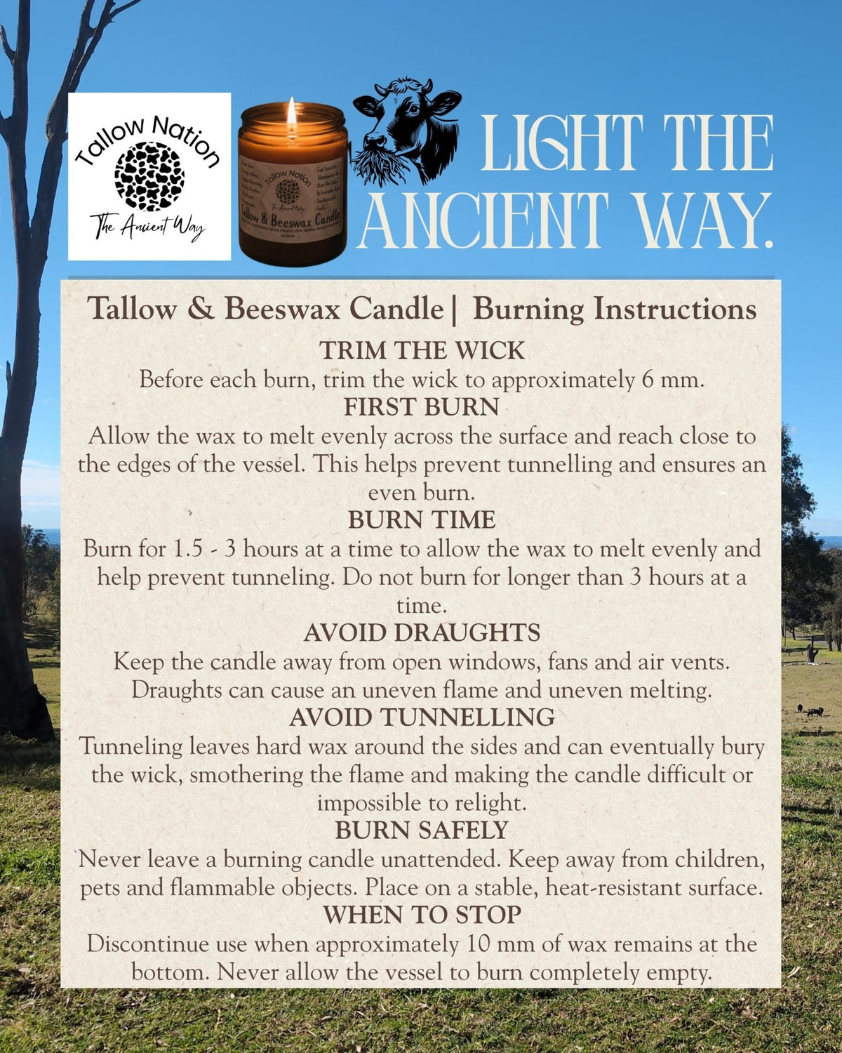 Tallow Candle Australia | Beef Tallow & Beeswax Candle - Tallow Nation