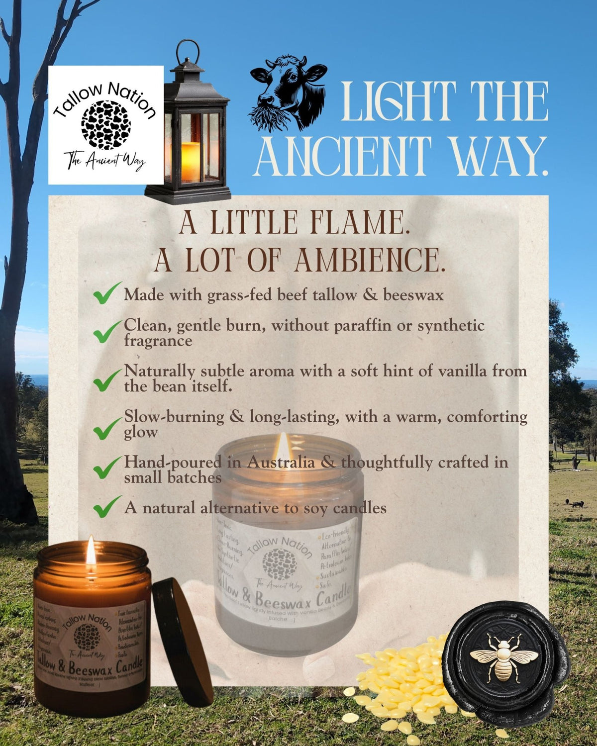 Tallow Candle Australia | Beef Tallow & Beeswax Candle - Tallow Nation