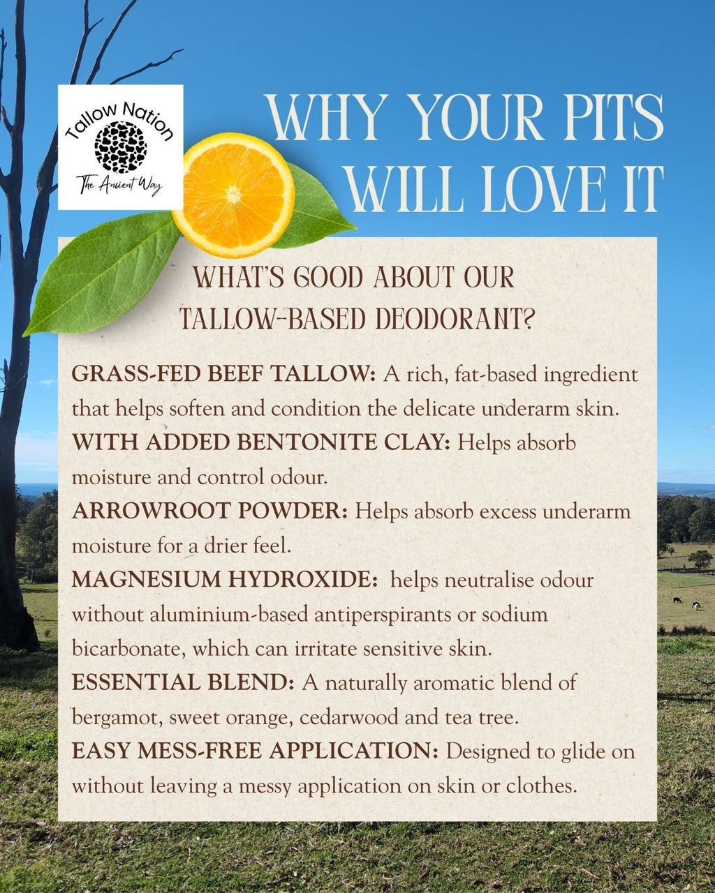 Tallow Natural Deodorant | Aluminium Free - Natural Deodorant - Tallow Nation