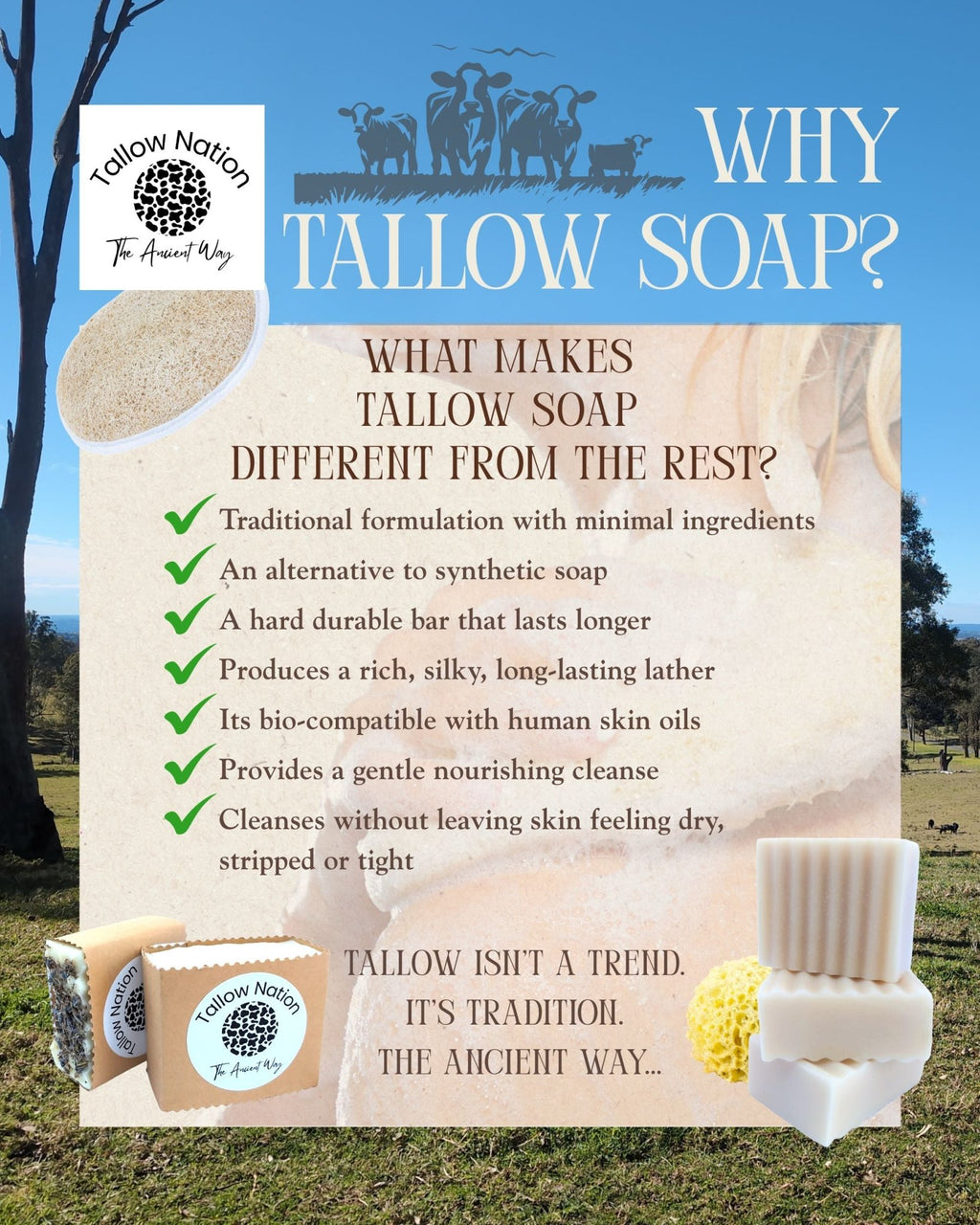 Tallow Soap Australia | Rose | Handmade Soap Bar - Tallow Nation